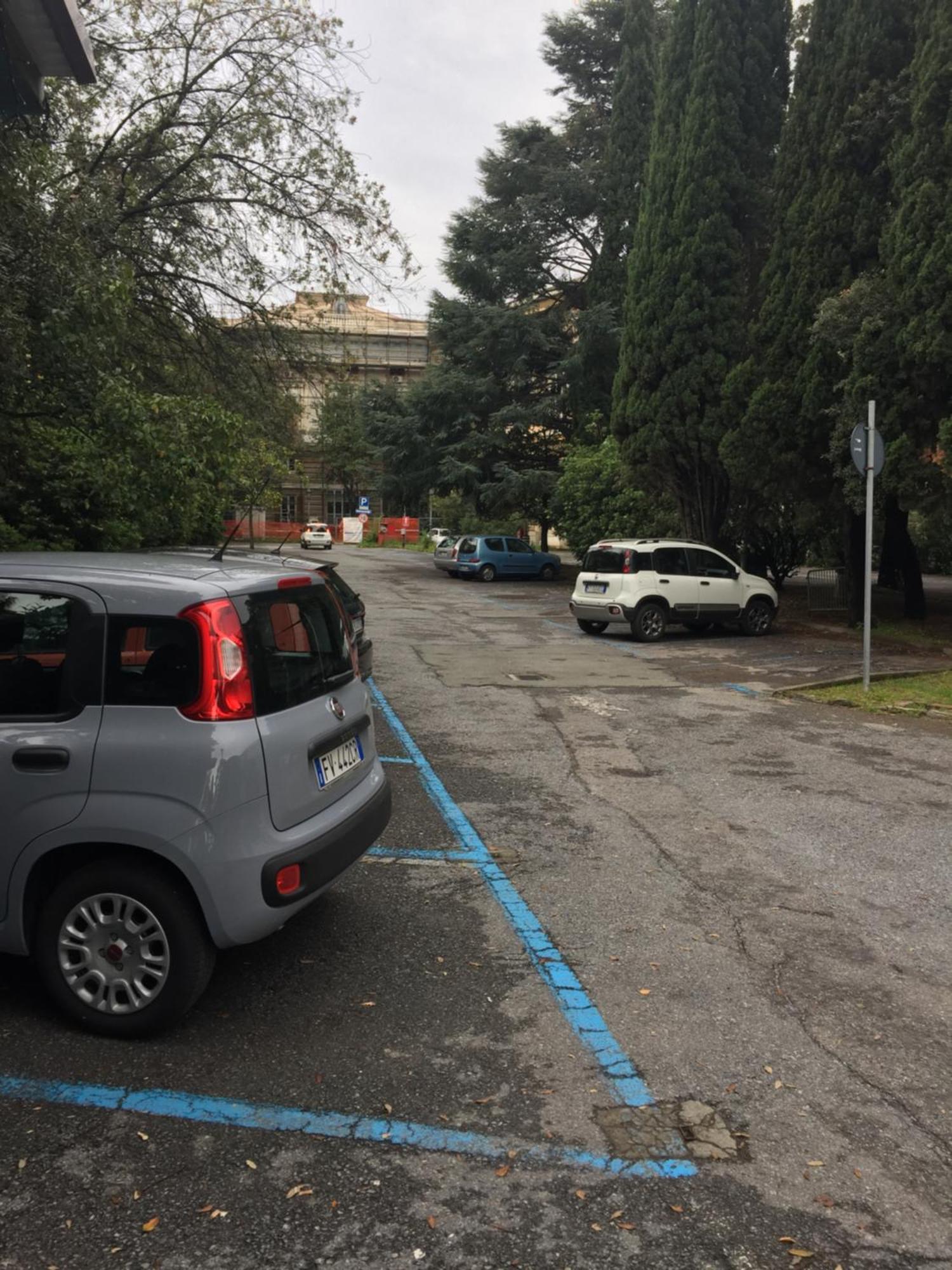 Appartamento In Centro Zona Fiera,Davanti Al Galliera Genoa Ngoại thất bức ảnh
